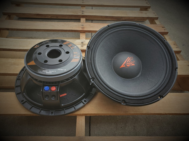 FMB12 12″ 4 Ohm MidBass Driver