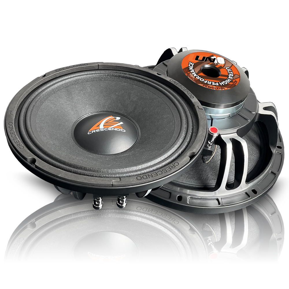 UN-10 10″ Loudspeaker